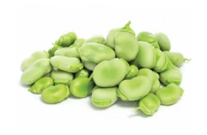 IQF Broad Beans